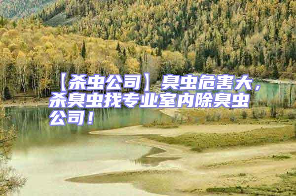 【殺蟲公司】臭蟲危害大，殺臭蟲找專業(yè)室內(nèi)除臭蟲公司！