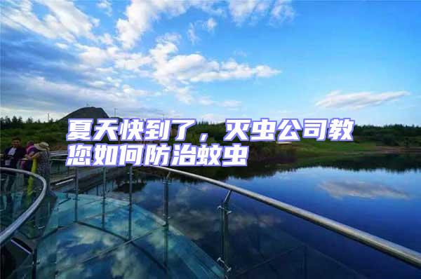 夏天快到了，滅蟲公司教您如何防治蚊蟲