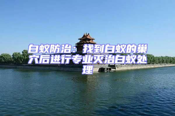 白蟻防治：找到白蟻的巢穴后進行專業(yè)滅治白蟻處理