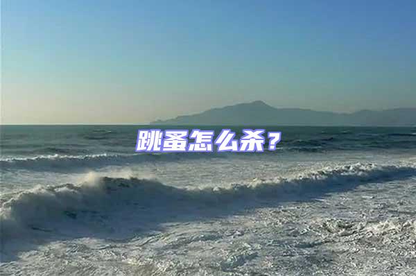 跳蚤怎么殺？