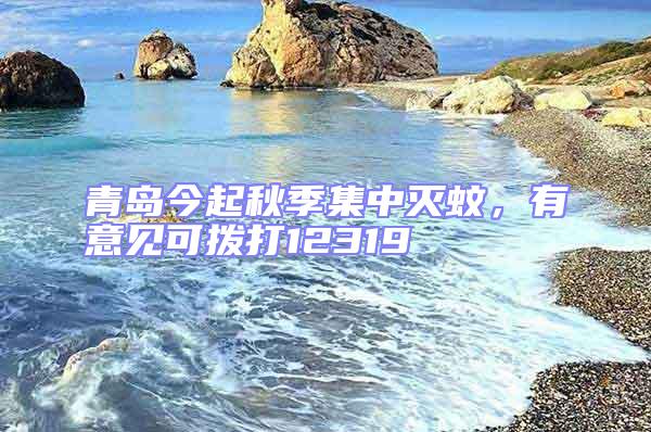 青島今起秋季集中滅蚊，有意見(jiàn)可撥打12319