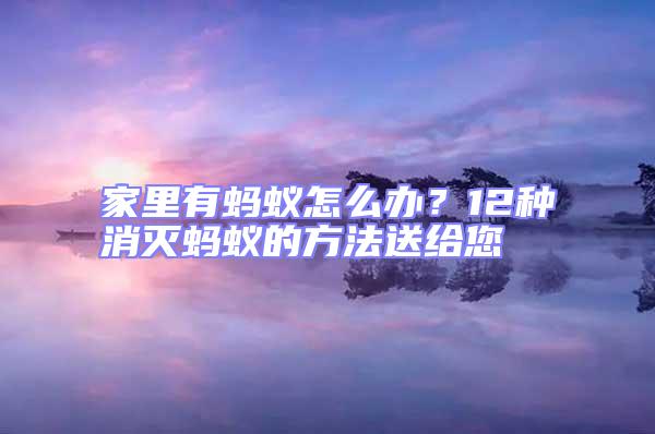 家里有螞蟻怎么辦？12種消滅螞蟻的方法送給您