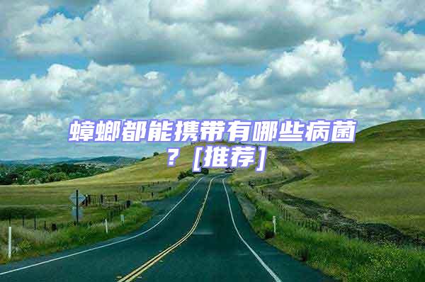 蟑螂都能攜帶有哪些病菌？[推薦]