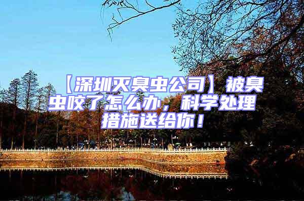 【深圳滅臭蟲公司】被臭蟲咬了怎么辦，科學(xué)處理措施送給你！