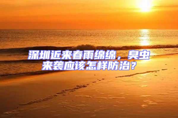 深圳近來春雨綿綿，臭蟲來襲應(yīng)該怎樣防治？