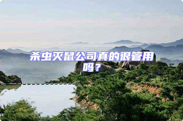 殺蟲滅鼠公司真的很管用嗎？