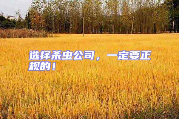 選擇殺蟲公司，一定要正規(guī)的！