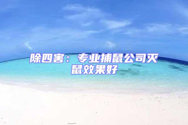 除四害：專業(yè)捕鼠公司滅鼠效果好