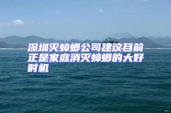 深圳滅蟑螂公司建議目前正是家庭消滅蟑螂的大好時(shí)機(jī)