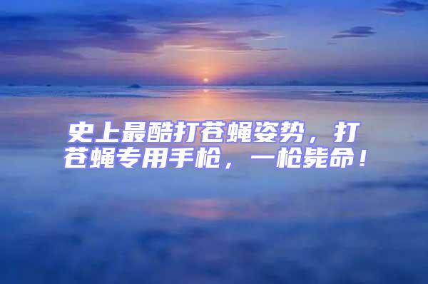 史上最酷打蒼蠅姿勢，打蒼蠅專用手槍，一槍斃命！