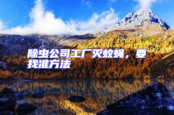 除蟲(chóng)公司工廠滅蚊蠅，要找準(zhǔn)方法