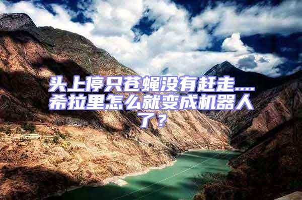 頭上停只蒼蠅沒有趕走....希拉里怎么就變成機(jī)器人了？