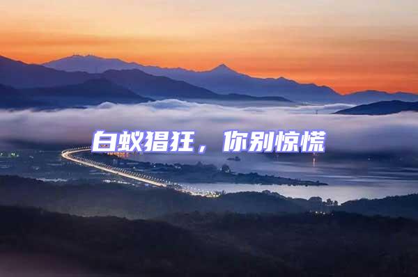 白蟻猖狂，你別驚慌