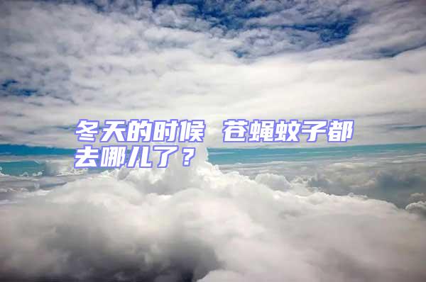 冬天的時候 蒼蠅蚊子都去哪兒了？