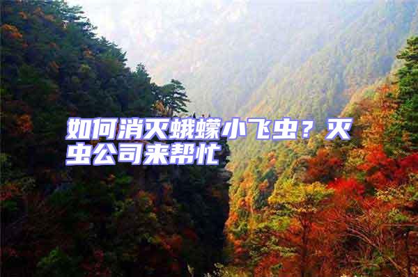 如何消滅蛾蠓小飛蟲？滅蟲公司來幫忙