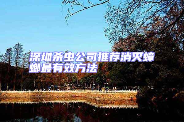 深圳殺蟲(chóng)公司推薦消滅蟑螂最有效方法