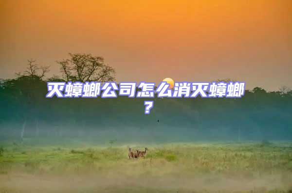 滅蟑螂公司怎么消滅蟑螂？