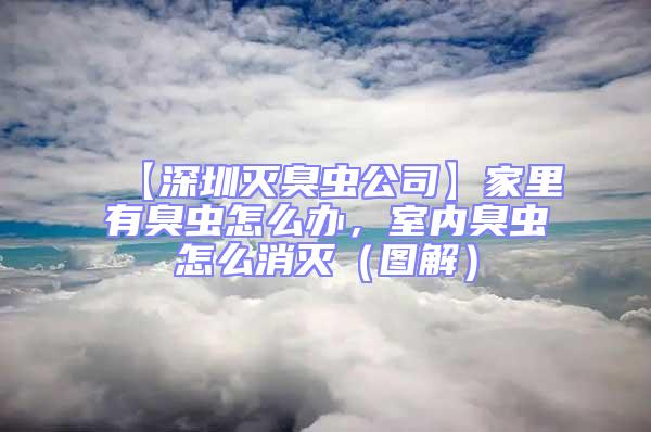 【深圳滅臭蟲(chóng)公司】家里有臭蟲(chóng)怎么辦，室內(nèi)臭蟲(chóng)怎么消滅（圖解）