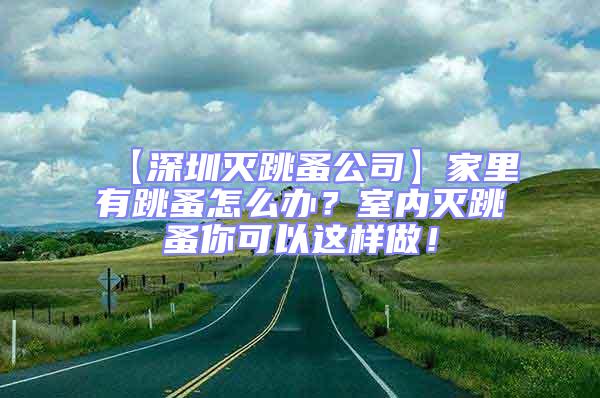 【深圳滅跳蚤公司】家里有跳蚤怎么辦？室內(nèi)滅跳蚤你可以這樣做！