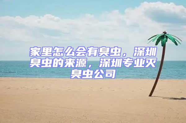 家里怎么會有臭蟲，深圳臭蟲的來源，深圳專業(yè)滅臭蟲公司