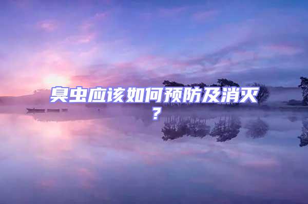 臭蟲應(yīng)該如何預(yù)防及消滅？