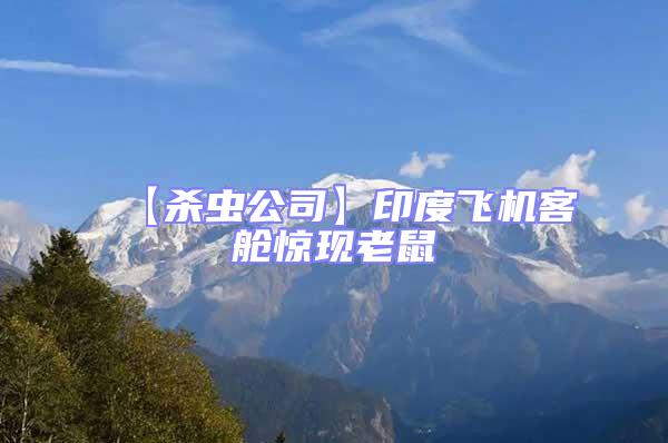 【殺蟲公司】印度飛機(jī)客艙驚現(xiàn)老鼠