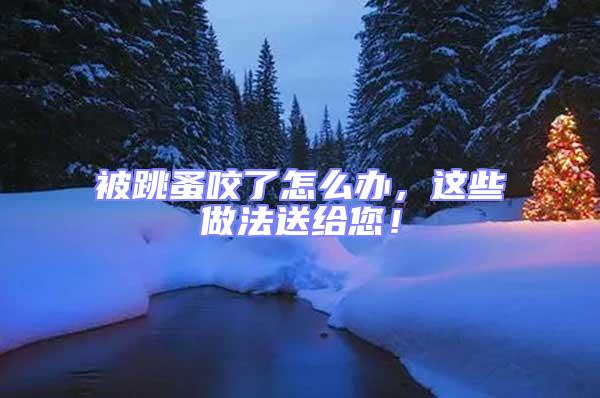 被跳蚤咬了怎么辦，這些做法送給您！