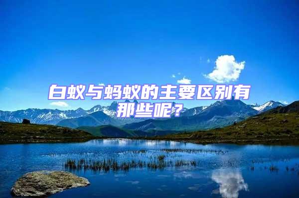 白蟻與螞蟻的主要區(qū)別有那些呢？