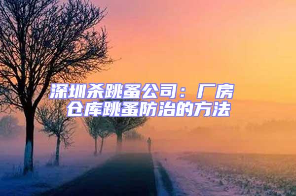 深圳殺跳蚤公司:廠房 倉庫跳蚤防治的方法