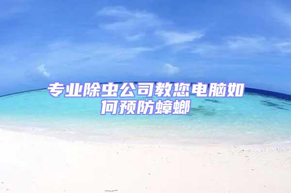專業(yè)除蟲(chóng)公司教您電腦如何預(yù)防蟑螂
