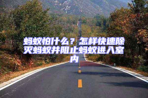 螞蟻怕什么？怎樣快速除滅螞蟻并阻止螞蟻進(jìn)入室內(nèi)