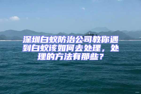 深圳白蟻防治公司教你遇到白蟻該如何去處理，處理的方法有那些？