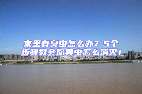 家里有臭蟲怎么辦？5個(gè)步驟教會(huì)你臭蟲怎么消滅！