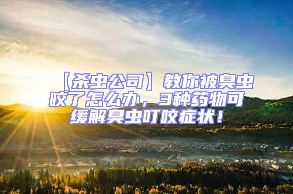 【殺蟲公司】教你被臭蟲咬了怎么辦，3種藥物可緩解臭蟲叮咬癥狀！