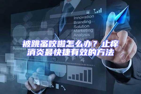 被跳蚤咬啦怎么辦？止癢消炎最快捷有效的方法