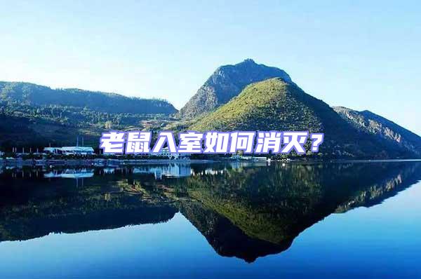 老鼠入室如何消滅？