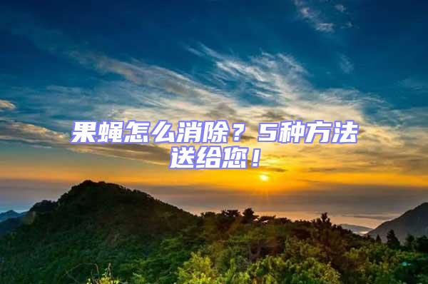 果蠅怎么消除？5種方法送給您！