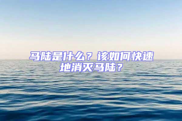 馬陸是什么？該如何快速地消滅馬陸？