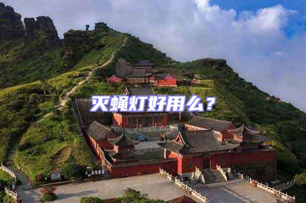 滅蠅燈好用么？