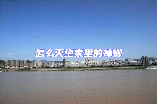 怎么滅絕家里的蟑螂