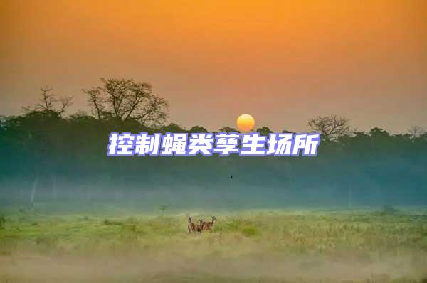 控制蠅類孳生場(chǎng)所