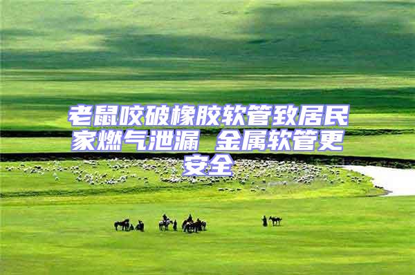 老鼠咬破橡膠軟管致居民家燃?xì)庑孤?金屬軟管更安全