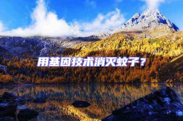 用基因技術(shù)消滅蚊子？