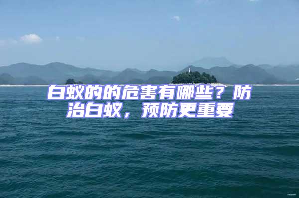 白蟻的的危害有哪些？防治白蟻，預(yù)防更重要