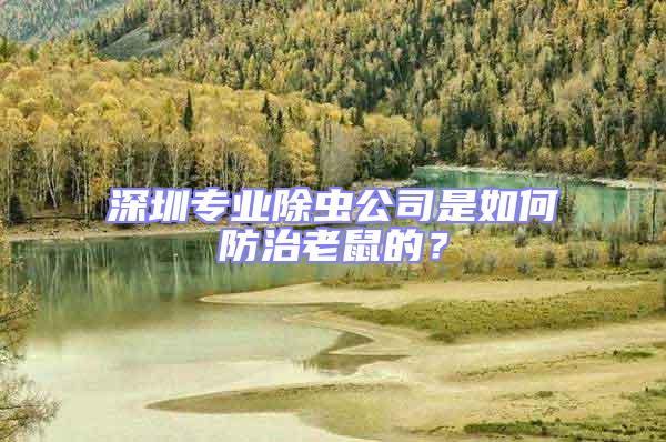 深圳專業(yè)除蟲公司是如何防治老鼠的？