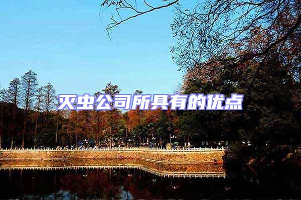 滅蟲公司所具有的優(yōu)點