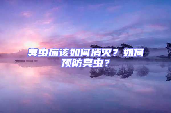 臭蟲應(yīng)該如何消滅？如何預(yù)防臭蟲？