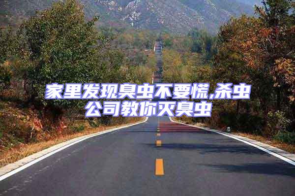 家里發(fā)現臭蟲不要慌,殺蟲公司教你滅臭蟲