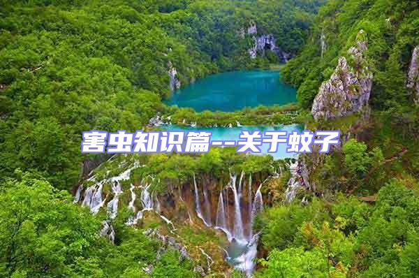 害蟲知識篇--關(guān)于蚊子