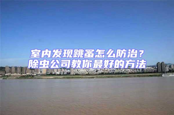 室內(nèi)發(fā)現(xiàn)跳蚤怎么防治？除蟲公司教你最好的方法